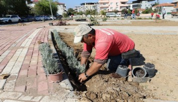 Pati Park’ta sona doğru
