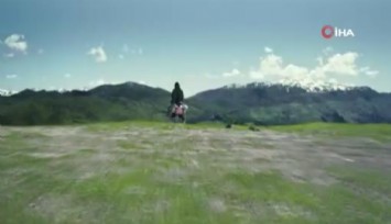 Japon teknoloji devi Kawasaki'den insan taşıyabilen robot köpek