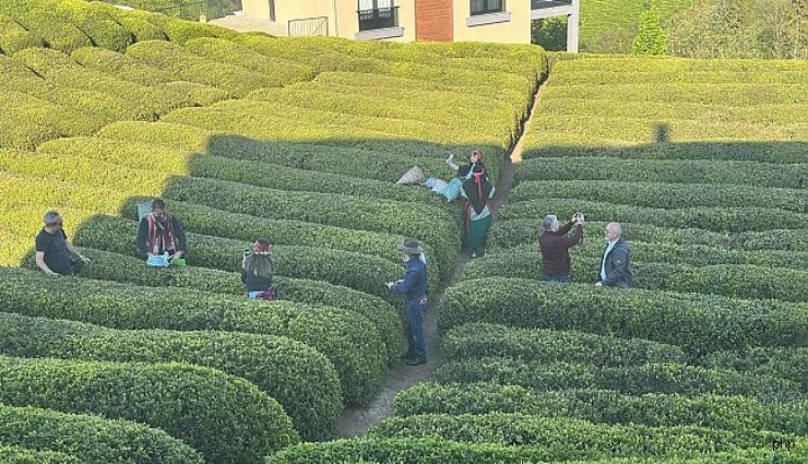 İzmirli gazeteciler Rize'yi keşfetti