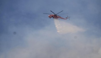 Aydın’da yangına müdahale devam ediyor: Havadan ve karadan destek sağlanıyor