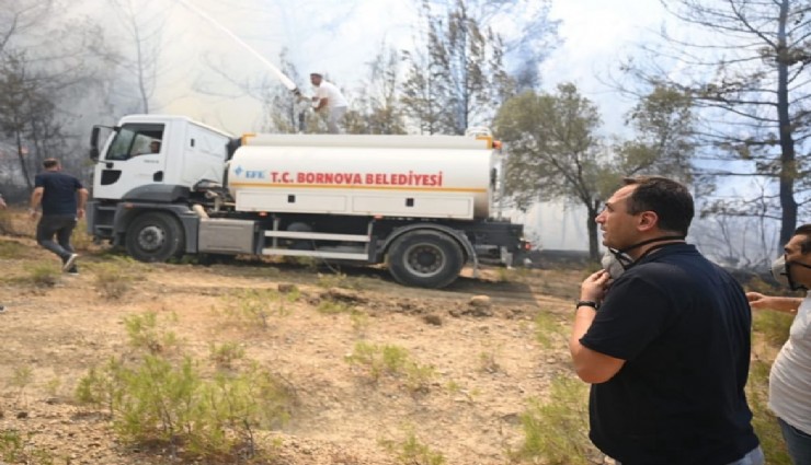 Bornova'daki yangın ile ilgili Ömer Eşki'den ilk açıklama:'Çok fazla ağaç kaybı var'