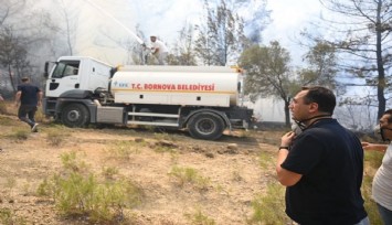 Bornova'daki yangın ile ilgili Ömer Eşki'den ilk açıklama:'Çok fazla ağaç kaybı var'