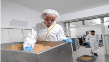 Büyükşehir’den can dostlara: Besin değeri yüksek mamalar