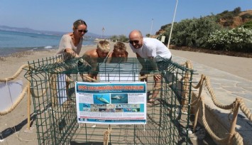 İzmir sahilinde yumurtlayan Caretta Caretta heyecan yarattı