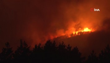 Karabük’te yeni orman yangını
