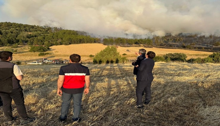Kütahya'daki orman yangını söndürüldü