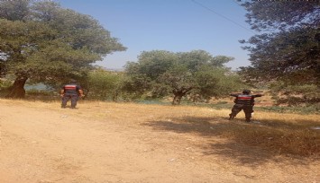 Ormanlara giren ve ateş yakanlara ceza yağdı