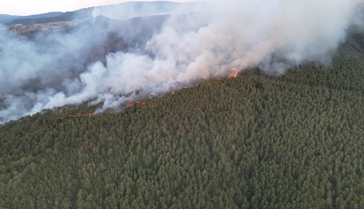 Türkiye orman yangınlarıyla mücadelede alarmda: Risk altındaki alan 12,5 milyon hektar