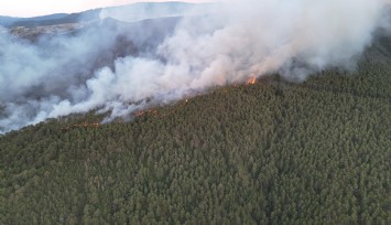 Türkiye orman yangınlarıyla mücadelede alarmda: Risk altındaki alan 12,5 milyon hektar