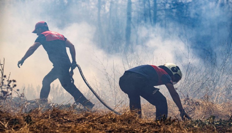 Yangınların önü kesildi: Bornova ve Urla kontrol altında