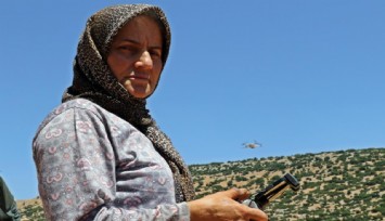 Çoban kadın dronla sürü güderken, kurtlara geçit vermiyor