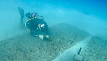 Mavi Nefes Projesi, Göcek'te 2 bin yaşında Deniz Çayırını keşfetti