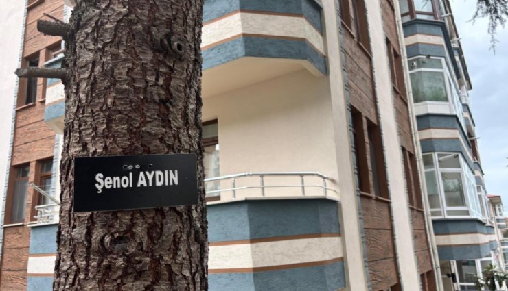 Trabzon Çamlık Altı Sitesi’nde vefat eden sakinlerin isimleri ağaçlarda yaşıyor