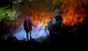 Aydın Söke'deki yangının büyümesi engellendi: Soğutma çalışmaları sürüyor