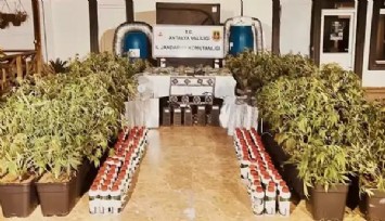 İçişleri Bakanı Yerlikaya: Jandarma 6 Milyon Uyuşturucu Hap Ele Geçirdi