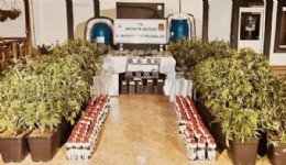 İçişleri Bakanı Yerlikaya: Jandarma 6 Milyon Uyuşturucu Hap Ele Geçirdi