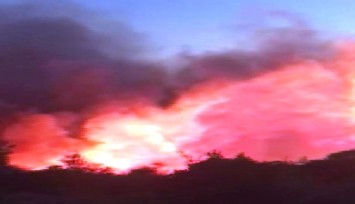 İzmir’deki orman yangını saatler sonra kontrol altında  