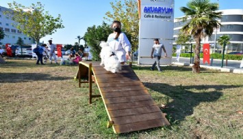 Pati Dostları Çiğli’deki festivalde buluştu