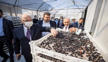 Seferihisar'a jeotermal bereketi