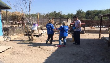 Konak Belediyesi hayvan barınağındaki can dostları unutmadı