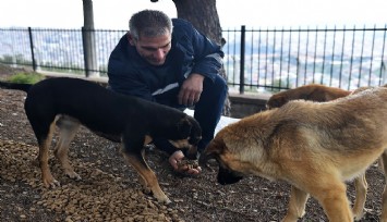İzmir’de sokak hayvanları için büyük işbirliği