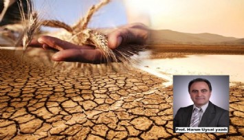 Gıda tedariki, iklim krizi, yanlış hesap ve Türkiye