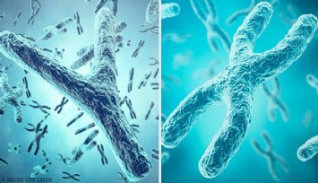 Çocuğun cinsiyeti erkeğin ailesinden miras, kadının hiçbir etkisi yok!