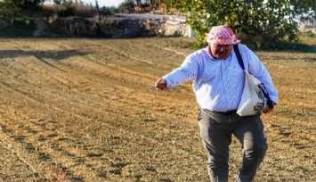 Çeşme Belediyesi’nden bir yerli tohum hamlesi:  Başkan Oran belediye arazisine kara yulaf ekti