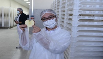 Sındırgı’dan dünyaya jeotermalle sağlıklı gıda