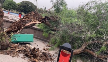 İzmir'de deniz seferleri normale döndü