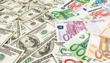 MB'den döviz kuruna müdahale