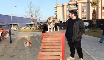 Gaziemir’de köpeklere özel park açıldı