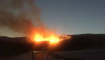 Foça’da korkutan yangın söndürüldü