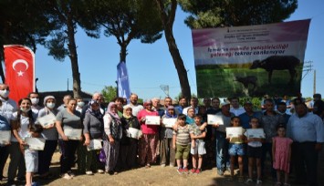 İzmir Büyükşehir Belediyesi Bergamalı üreticilere 134 manda hibe etti