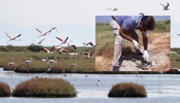 Kuş Cenneti’ni kuşlar için cehenneme çevirdiler