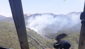 İzmir'de ormanlık alanda çıkan yangın kontrol altında  