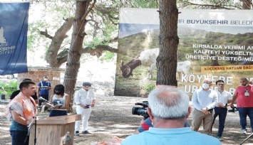 Kurban Bayramı’nda dar gelirlilere kavurma dağıtımı üreticilere can suyu oldu