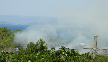 Çeşme'de bir gün arayla çıkan iki yangın yürekleri ağza getirdi