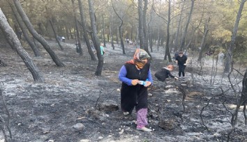 İzmir'de orman yangını  