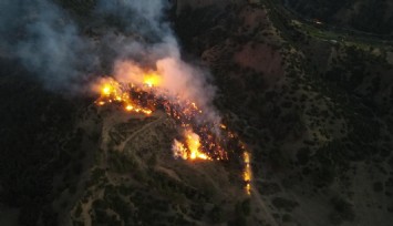 Manisa’da korkutan orman yangını: 10 dönüm alan zarar gördü