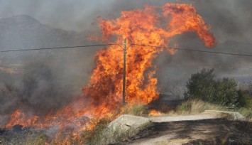 Bir sigara izmariti az daha Dikili’yi yakıyordu, ormanlık alanı küle çeviren yangın güçlükle kontrol altına alındı
