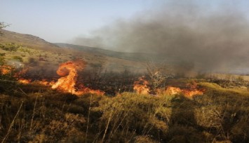Aliağa’da makilik alandaki yangın kontrol altına alındı  