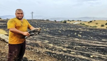 Aliağa’da ormana 5 metre kala söndürülen yangının açıklanan sebebi şaşırttı: Trafoya şahin çarptı