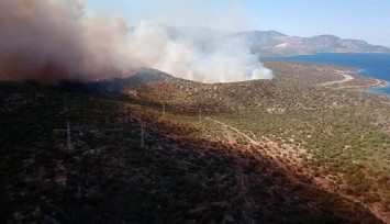 Urla’da makilik alanda yangın