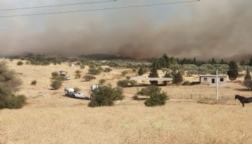 Foça yangını kontrol altına alındı  