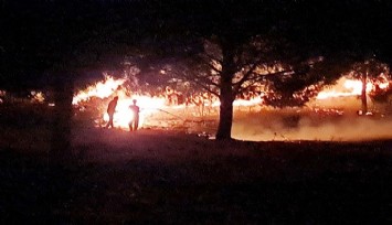 Tire'de çıkan orman yangını söndürüldü  