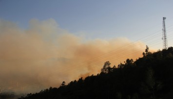İzmir'de ormanlık alanda çıkan yangın kontrol altında  