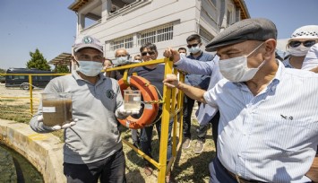 Gediz’den kötü haber: Havza genelinde su değerleri en kötü kalitede çıktı