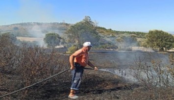 Çeşme'de sigara izmaritinden çıktığı düşünülen yangın zeytinlik alana sıçradı