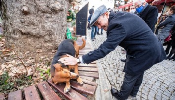 İzmir Büyükşehir Belediyesi ve Veteriner Hekimler Odası “can dostlar” için güçlerini birleştirdi